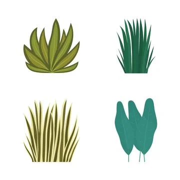 Elements Set of Fresh Tropical Leaves Foliage Grass Natural Plant in the Pa.. Stockillustratie