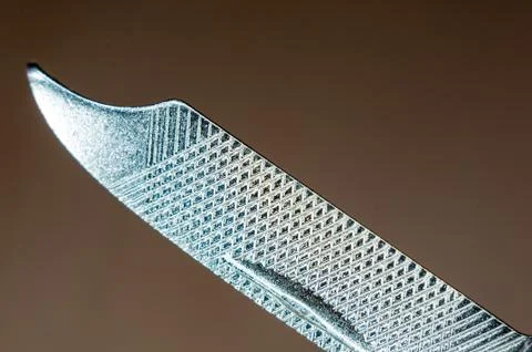 Elements small foldable steel multitool, close up, macro Foto stock