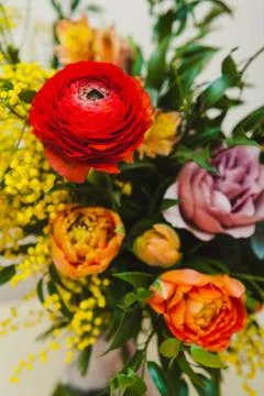 Elements of a wedding bouquet Stock Photos