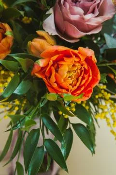 Elements of a wedding bouquet Stock Photos