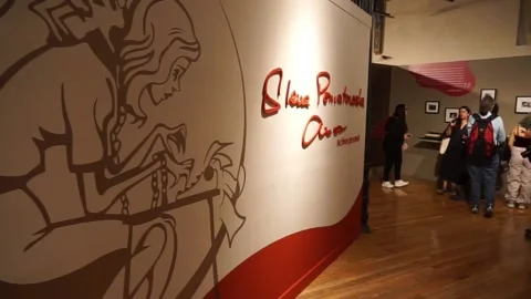 Elena Poniatowska's personal legacy opens to the public with an exhibition in Me Stock Footage 332878053