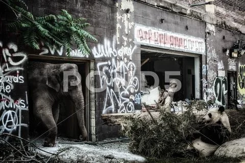 Elephant and Giant Panda Industrial Ruins Stock Photos