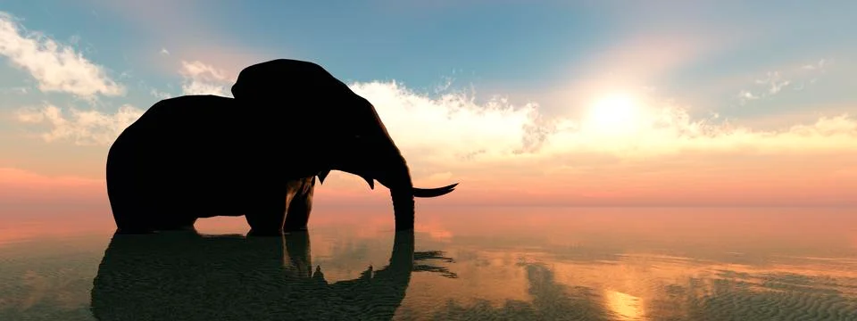 Elephant and sunset Stock Illustration