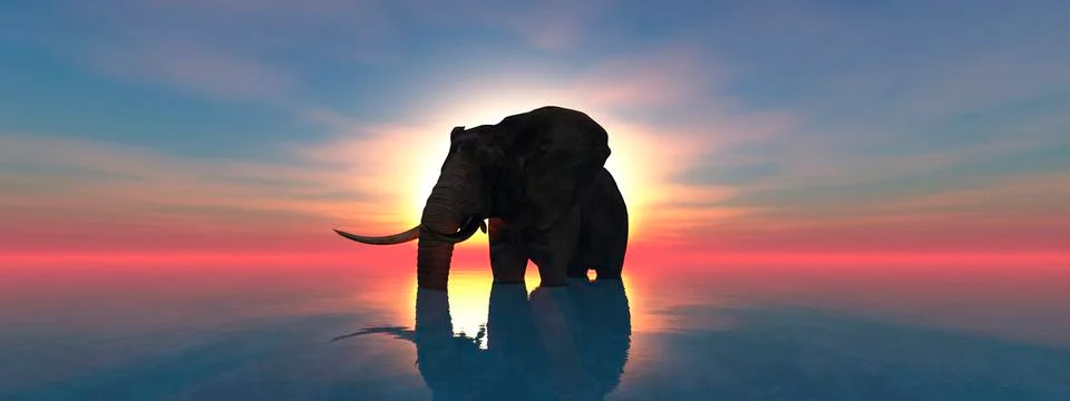 Elephant and sunset Stock Illustration