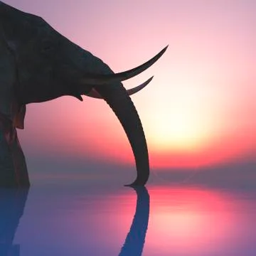 Elephant and sunset Stock Illustration