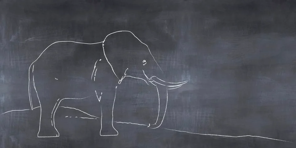 Elephant and sunset Stock Illustration