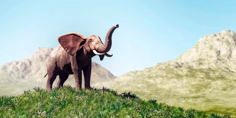 Elephant and sunset Stock Illustration
