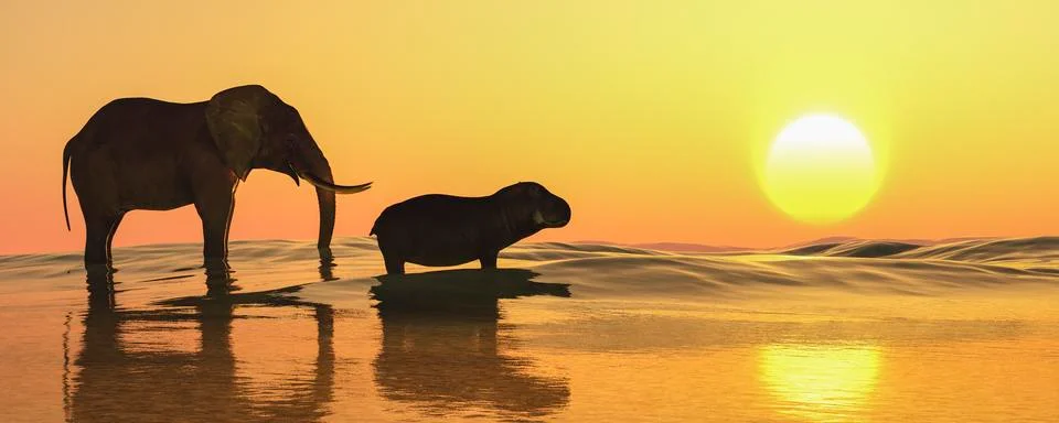 Elephant and sunset Stock Illustration