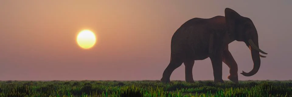 Elephant and sunset Stock Illustration