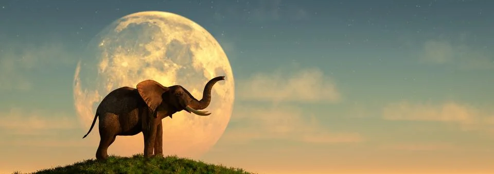 Elephant and sunset Stock Illustration