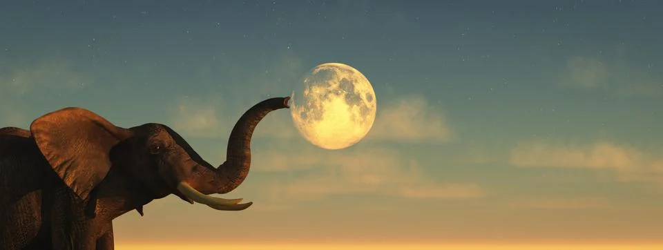 Elephant and sunset Stock Illustration