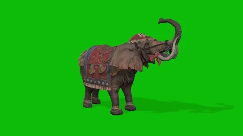 Elephant Animation Set on Green Screen | Walking, Trumpeting, Grazing Stock Footage 312549931