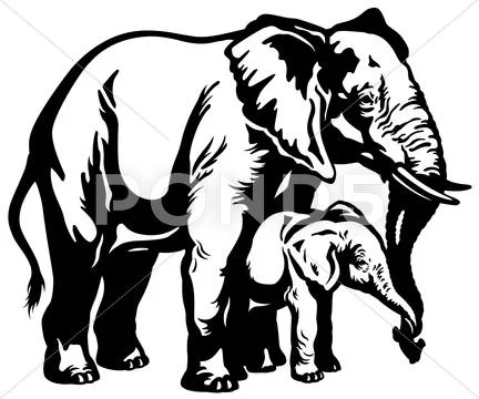 Elephant with baby black white Stock Illustration