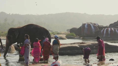 Elephant bathing in the river, Hampi, Karnataka, India Stock Footage
