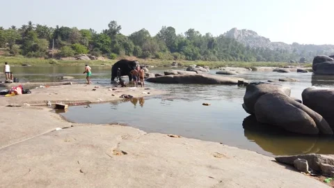 Elephant bathing at Tungabhadra River Stock Footage 148983859