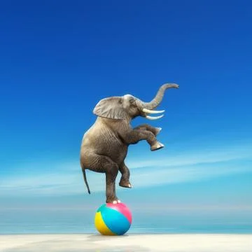 An elephant on a beach ball Stock Illustration