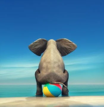 An elephant on a beach ball Illustrazione stock