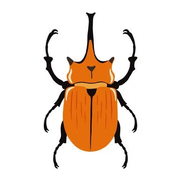 Elephant beetle bug inscect vector illustration, color icon on a white backgr Stock Illustration