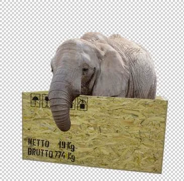 Elephant in box Stock Photos