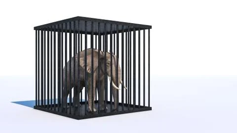 Elephant in cage. 3d rendering Stock Illustration