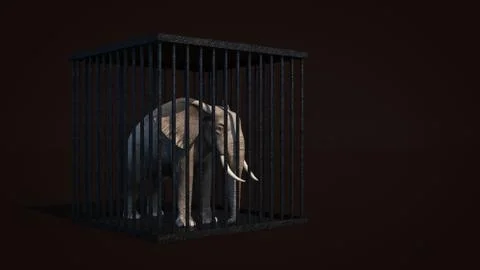 Elephant in cage. 3d rendering Stock Illustration