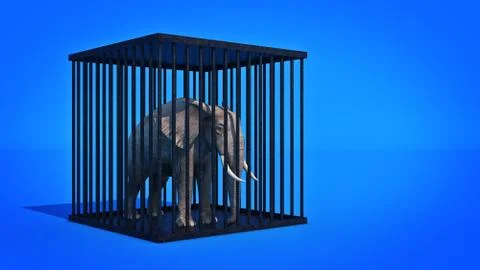 Elephant in cage. 3d rendering Stock Illustration