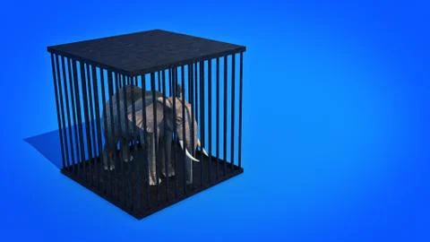 Elephant in cage. 3d rendering Stock Illustration