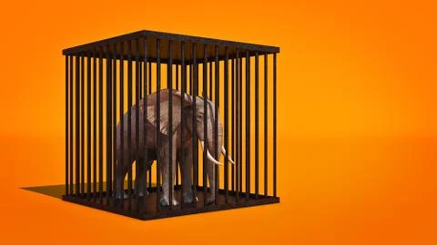 Elephant in cage. 3d rendering Stock Illustration