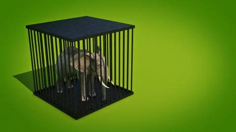 Elephant in cage. 3d rendering Stock Illustration