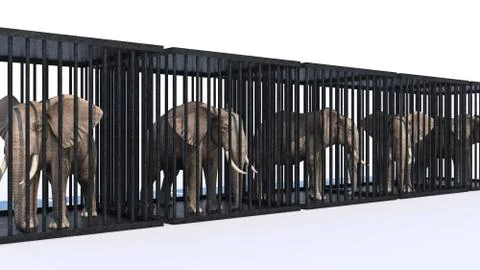 Elephant in cage. 3d rendering Stock Illustration