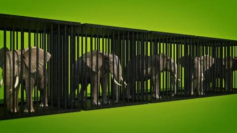 Elephant in cage. 3d rendering Stock Illustration