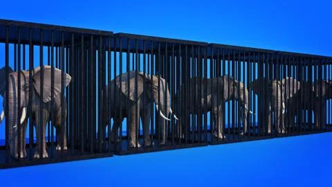 Elephant in cage. 3d rendering Stock Illustration
