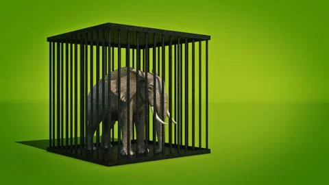 Elephant in cage. 3d rendering Stock Illustration