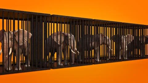 Elephant in cage. 3d rendering Stock Illustration