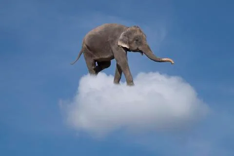 Elephant in the clouds. Foto stock