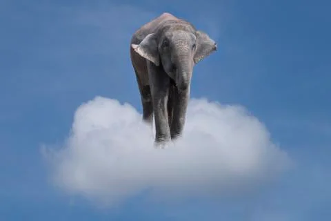 Elephant in the clouds. Stock Photos