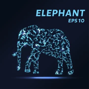 The elephant consists of points, lines and triangles. The polygon shape in .. Stock Illustration
