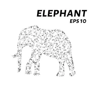 The elephant consists of points, lines and triangles. The polygon shape in .. Stock Illustration