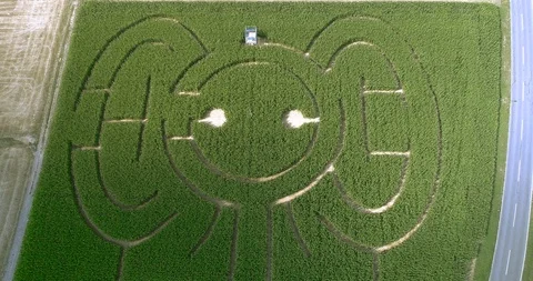 Elephant corn maze high round pan aerial 4k Stock Footage 93561144