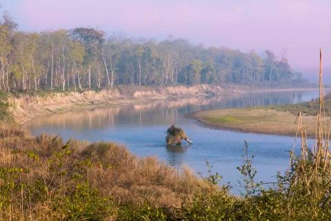 Elephant crossing River Stock-Fotos