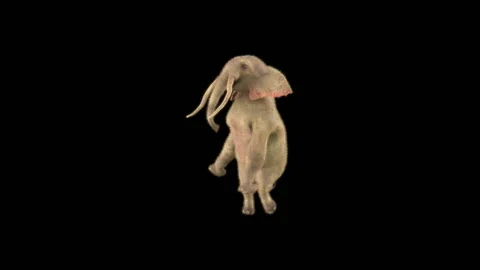 Elephant Dancing 3d rendering animal realistic Stockbeeldmateriaal 294994263
