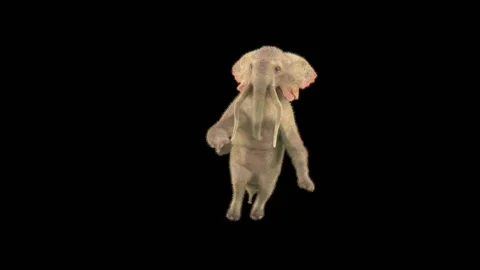 Elephant Dancing 3d rendering animal realistic Stock Footage 299382178