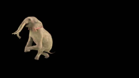 Elephant Dancing 3d rendering animal realistic Stock Footage 300775774