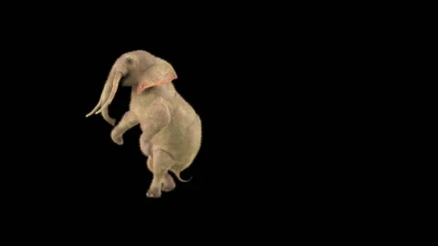 Elephant Dancing 3d rendering animal realistic Video stock 301407355