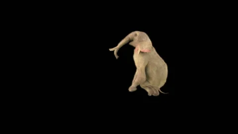 Elephant Dancing 3d rendering animal realistic Stock Footage 301547785