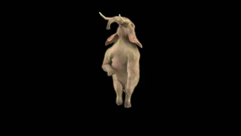 Elephant Dancing 3d rendering animal realistic Stock Footage 303248222