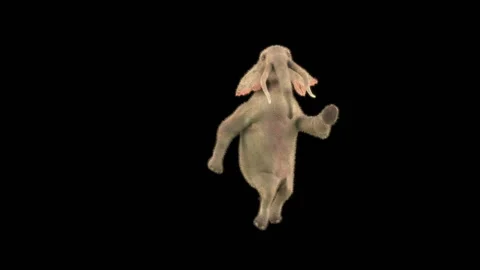 Elephant Dancing 3d rendering animal realistic 库存影片 303366606