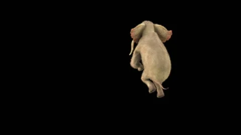 Elephant Dancing 3d rendering animal realistic 库存影片 303764145