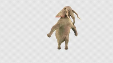 Elephant Dancing 3d rendering animal realistic Stock Footage 304368492