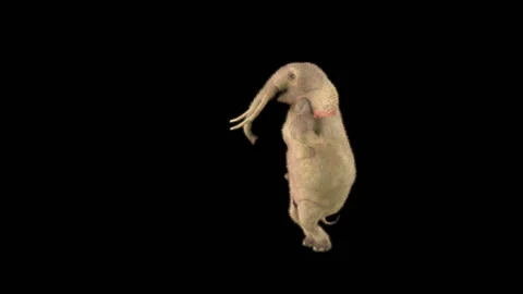 Elephant Dancing 3d rendering animal realistic Stock Footage 304535694